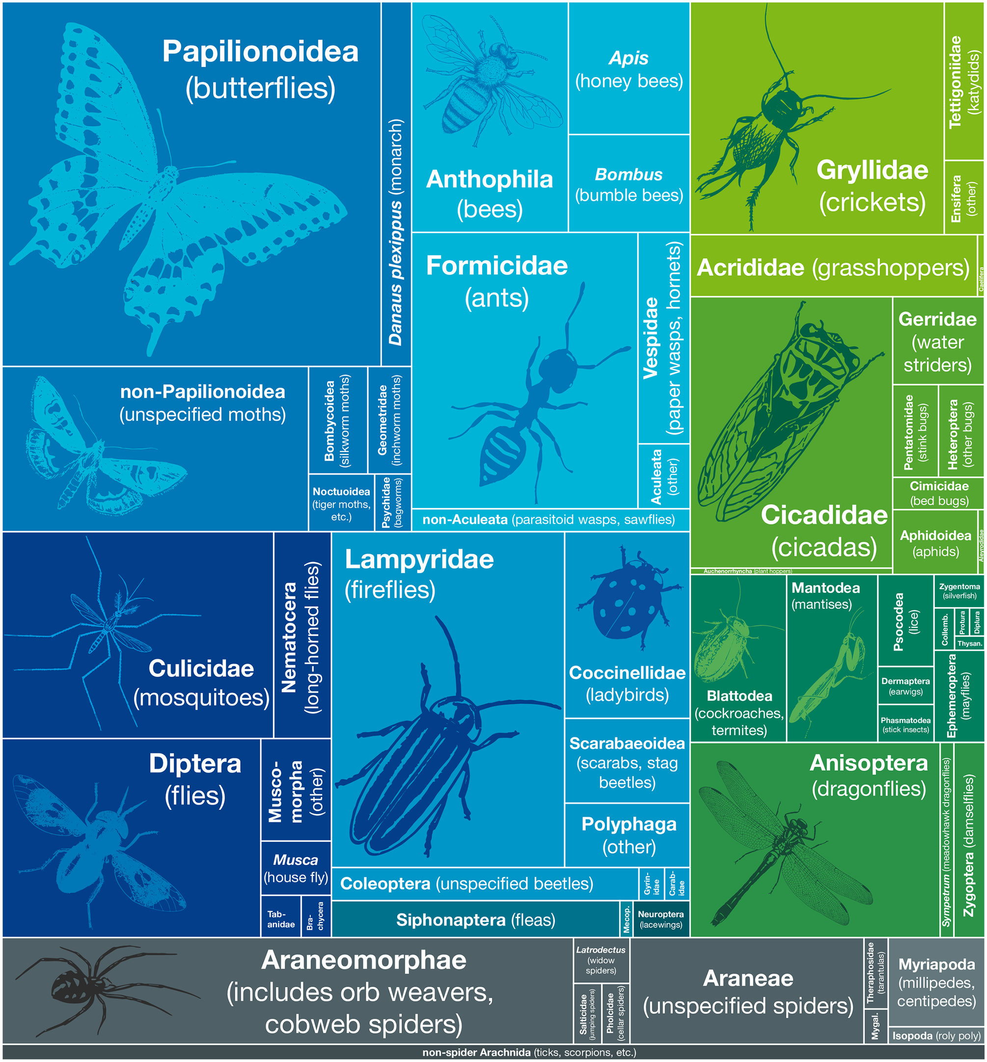 Insects in Haiku featured on NPR — The Frost Entomological Museum ...