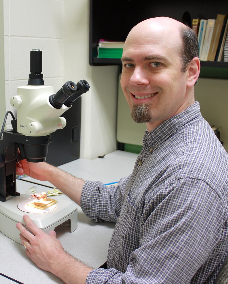 Robert F. Mitchell, Ph.D.