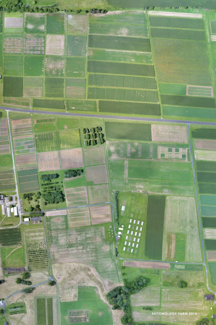 Aerial View of the Entomology Farm