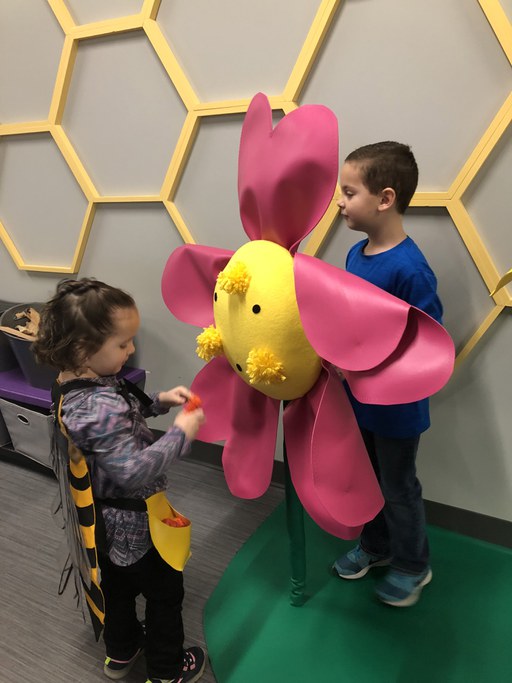 Discovery Space’s Bee Hive Exhibit