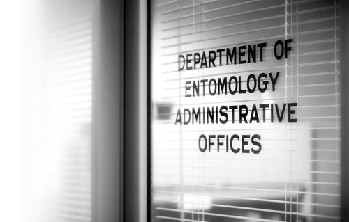 Department Door