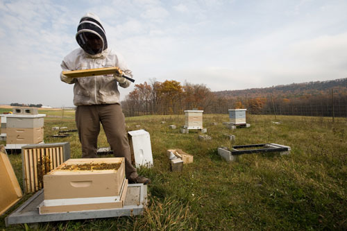 Bee Keeper with Boxes