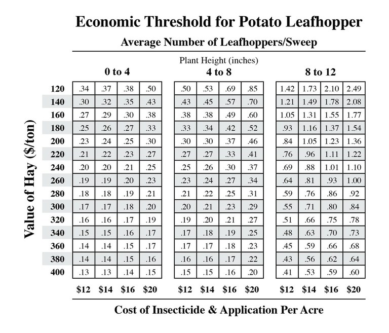 Leafhopper Table