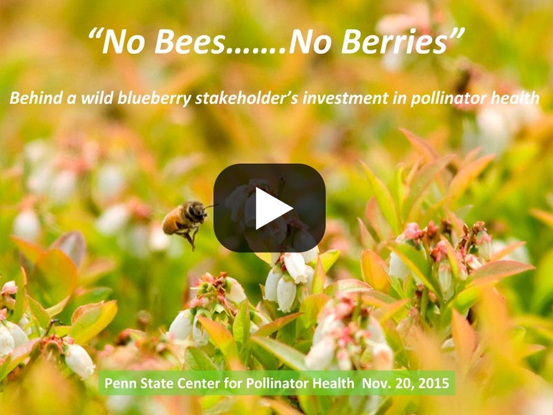 No Bees ..... No Berries Lead Image