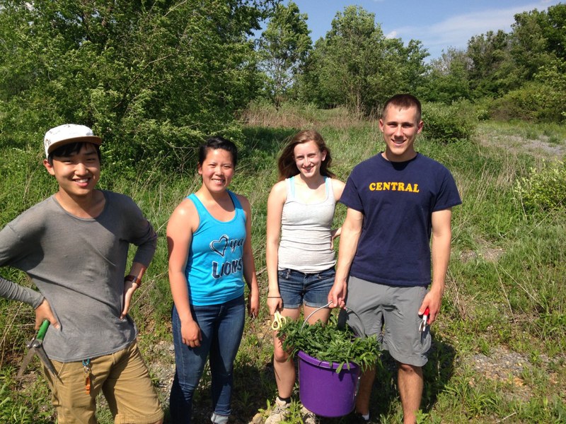 Summer Help 2017 - Tooker Lab