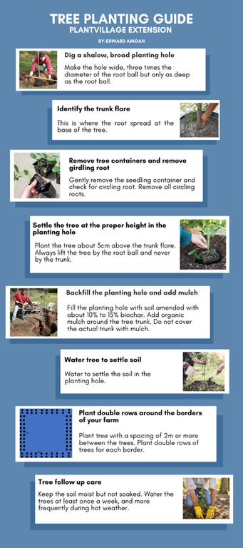 tree planting guide.png