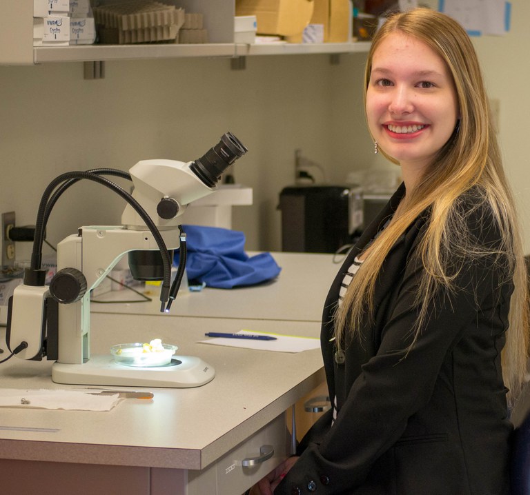 Dutch Gold Undergraduate Award 2019 recipient, Jacklyn Kiner sits next to a bumblebee colony to be dissected under a dissecting microscope.