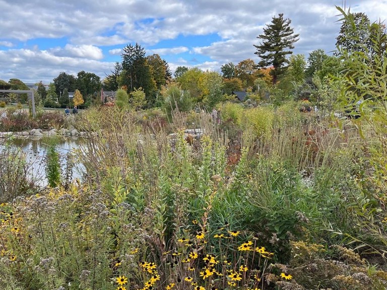The Pollinator and Bird Garden at The Arboretum at Penn State; Oct. 8th 2022
