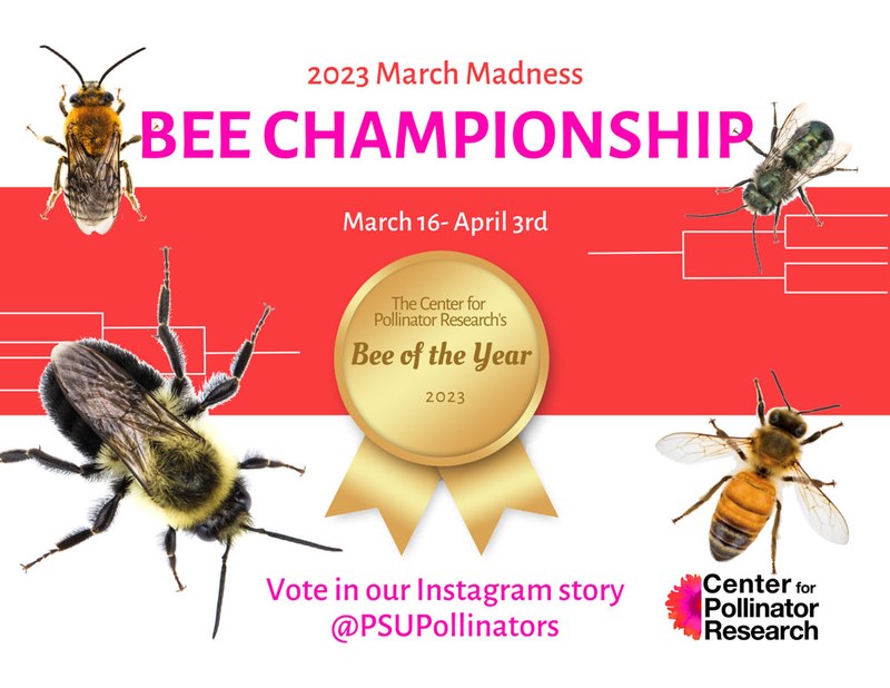 Center for Pollinator Research's 2023 Bee of the Year — News —  Department of Entomology