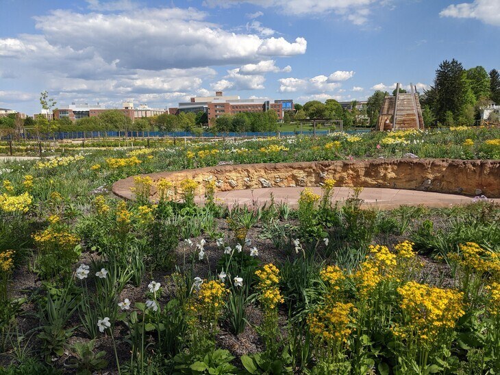 Penn State Arboretum to Host Pollinator Summer Camp