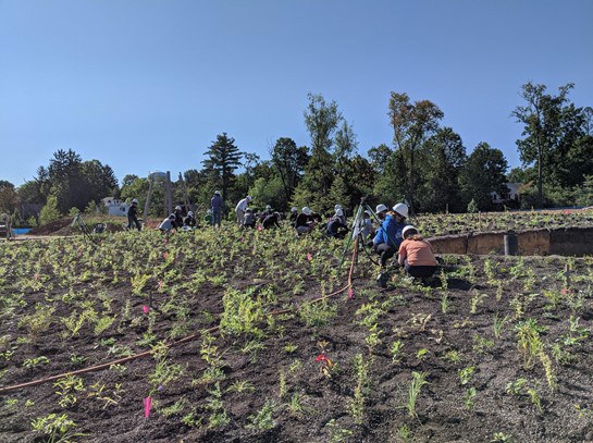 Volunteers installing plants in Fall of 2020. Credit: Shari Edelson, The Arboretum at Penn State