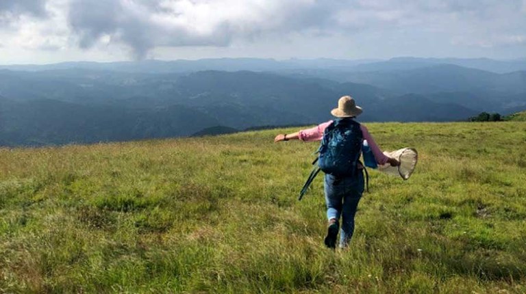 Graduate student Elena Gratton searches for bumble bees on a mountain top. Photo courtesy of Anna Martinello