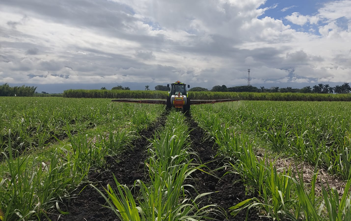 intensive farming pesticides