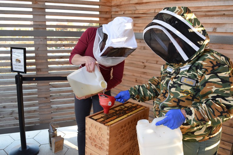 Dr. Natalie Boyle (L) and Kate Anton (R) feed the observation hive at the Arboretum one last time in preparation for winter weather