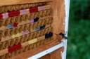 Bee on approach to nest boxes for solitary bees in a planting of brambles