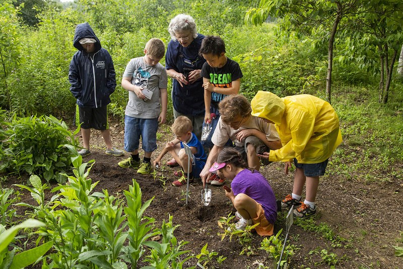 Youth Programs — Department of Entomology