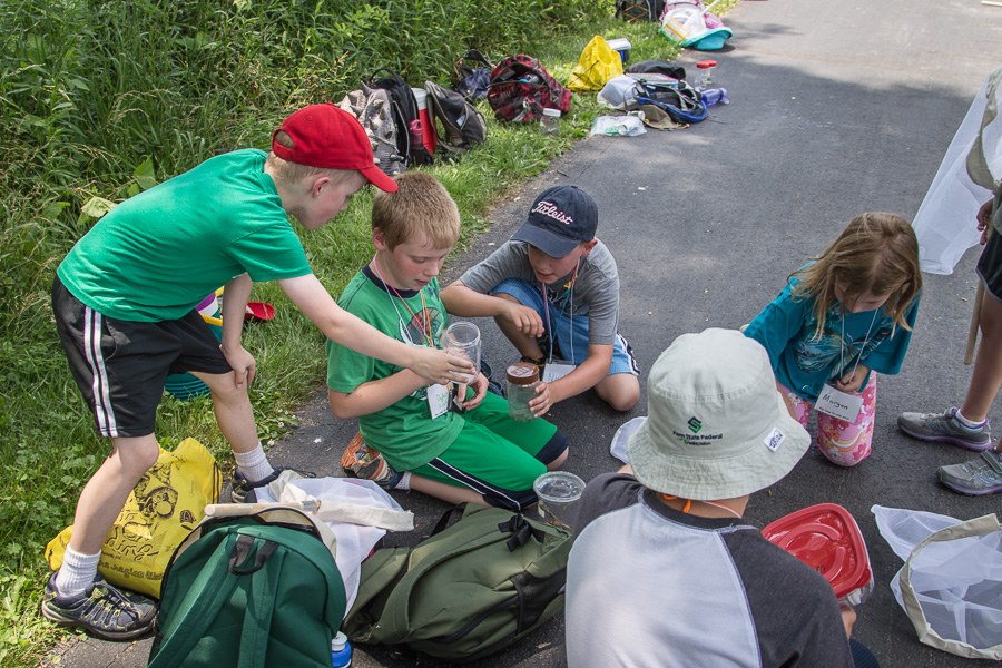 Bug Camp 2013