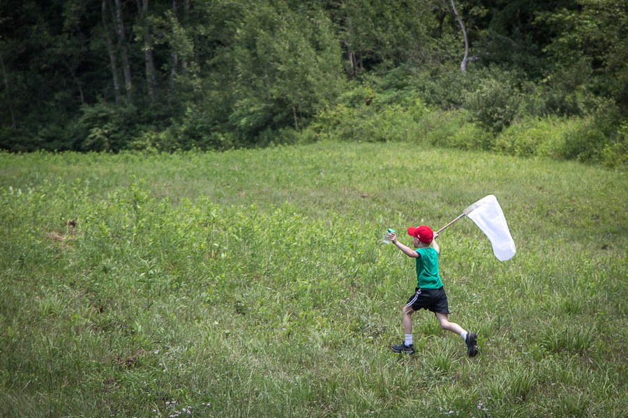Bug Camp 2013