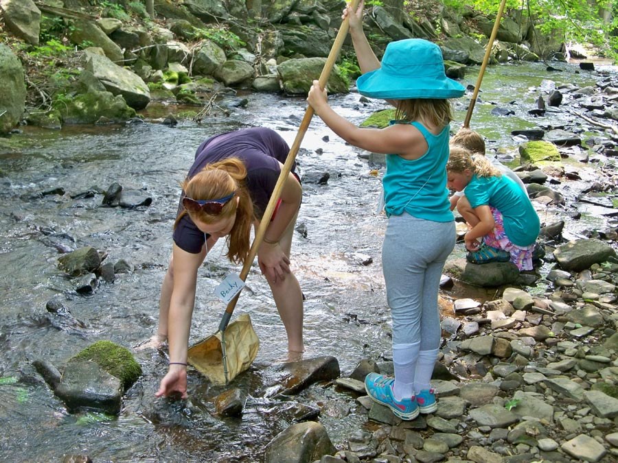 Bug Camp 2013