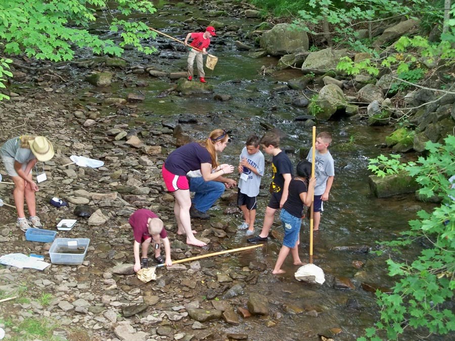 Bug Camp 2013