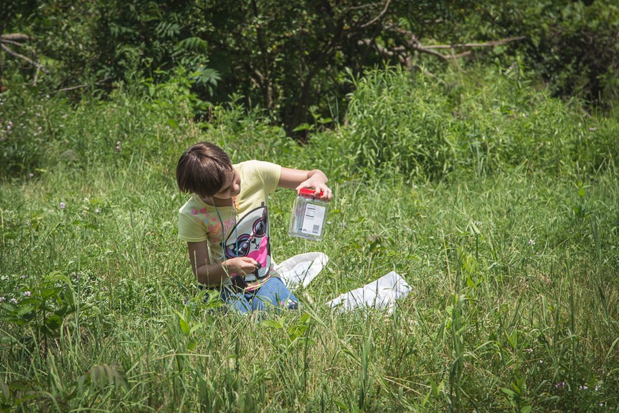 Bug Camp 2013