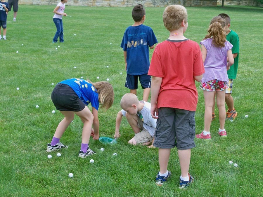 Bug Camp 2013