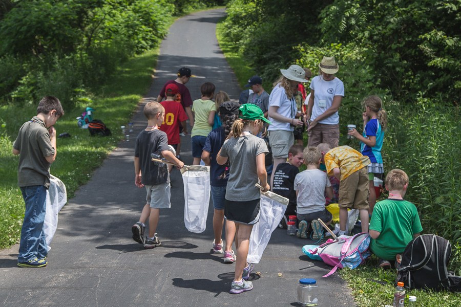 Bug Camp 2013