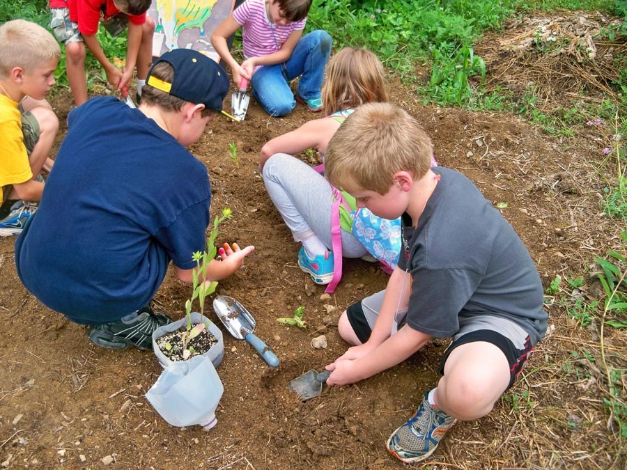 Bug Camp 2013