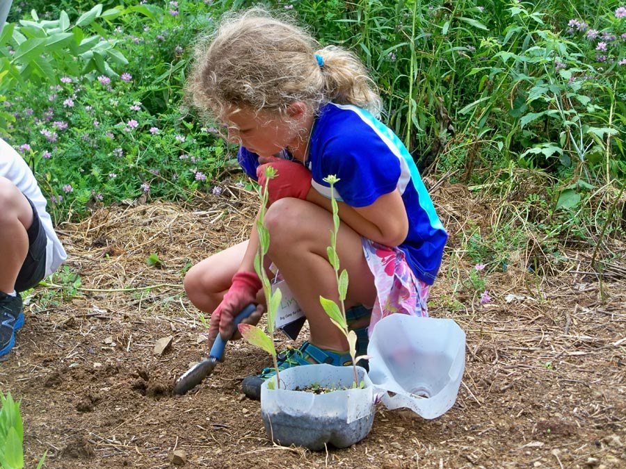 Bug Camp 2013