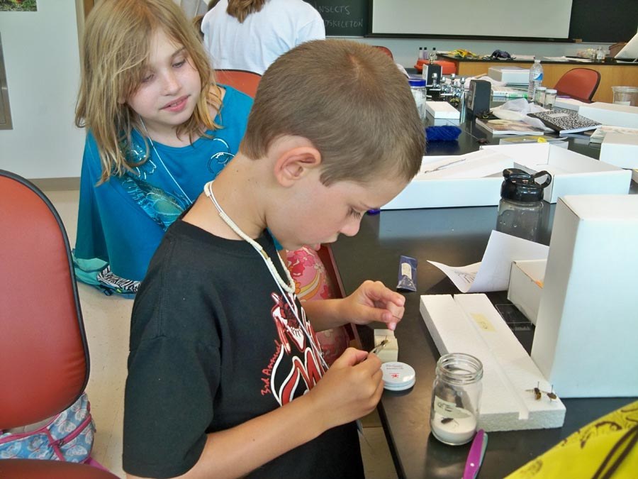 Bug Camp 2013