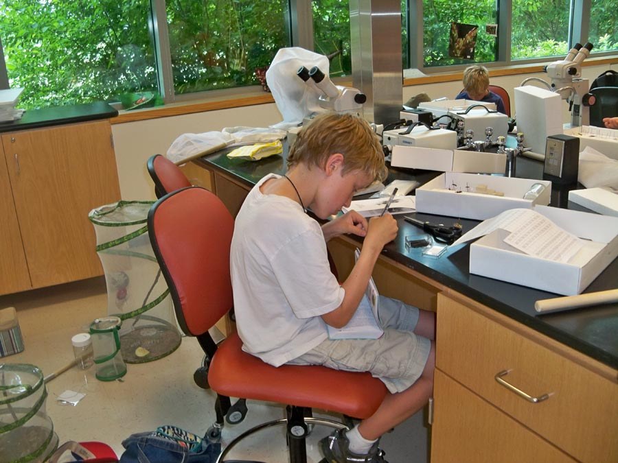 Bug Camp 2013