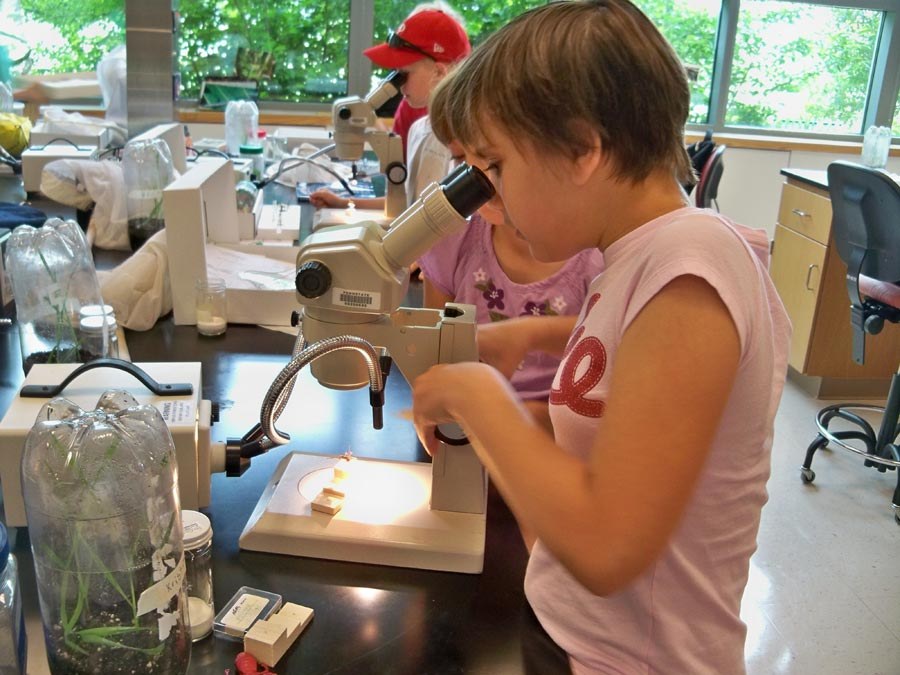 Bug Camp 2013