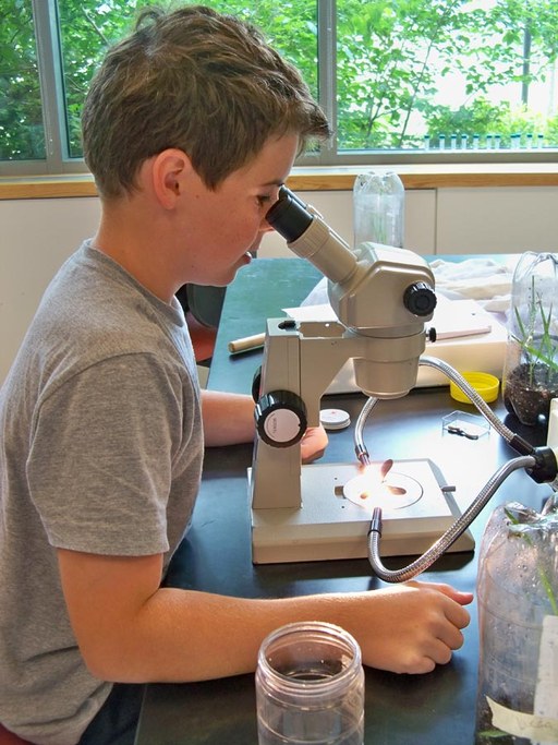 Bug Camp 2013