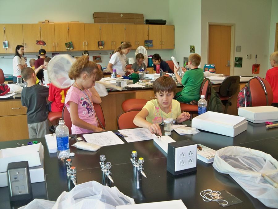 Bug Camp 2013