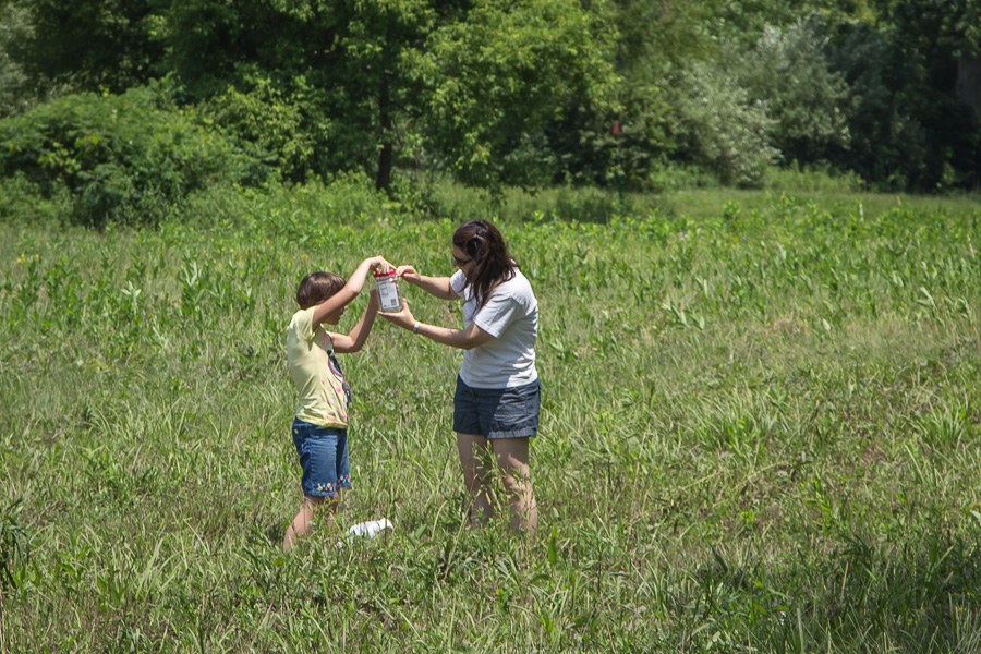 Bug Camp 2013