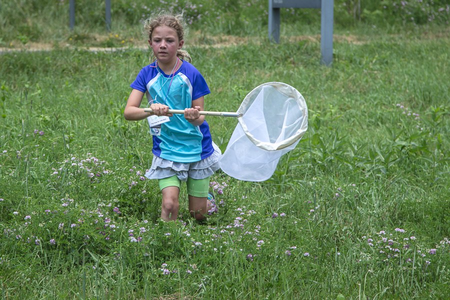Bug Camp 2013