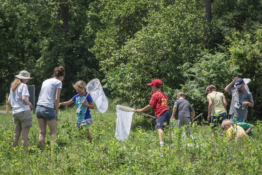 Bug Camp 2013