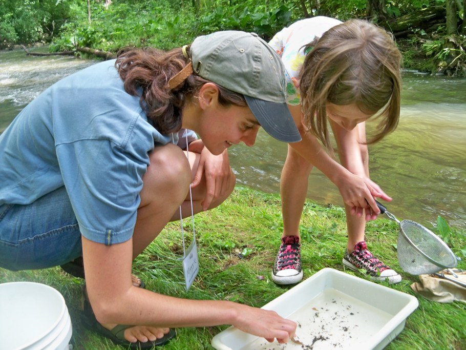 Bug Camp 2014