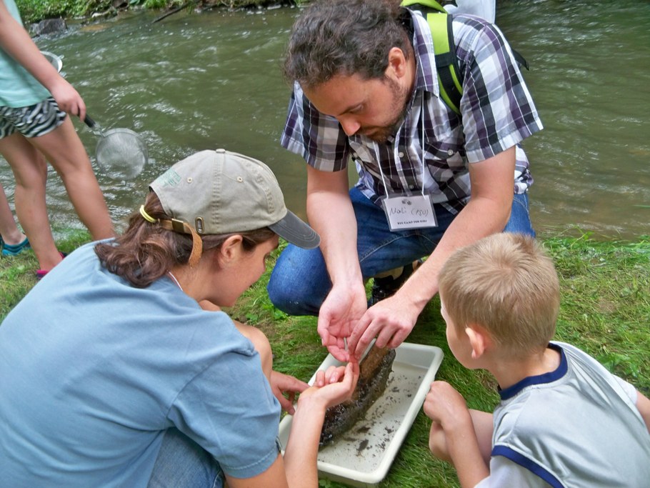 Bug Camp 2014