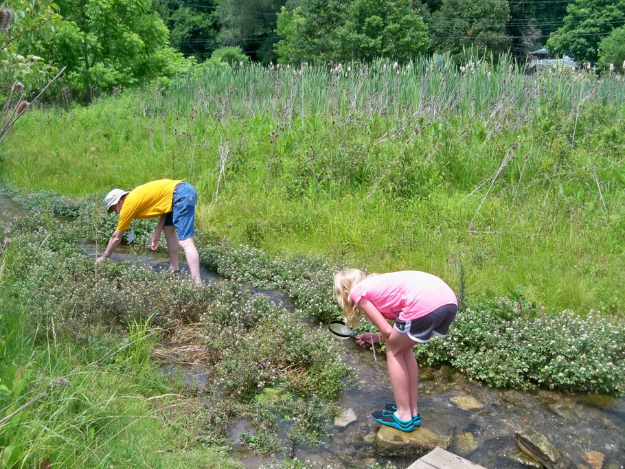 Bug Camp 2014
