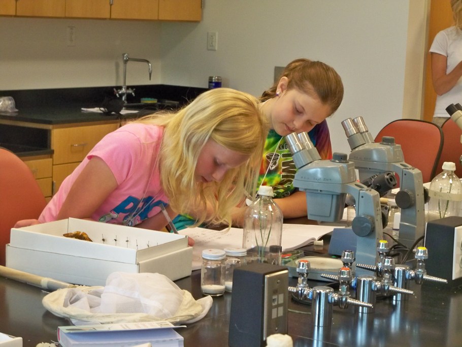 Bug Camp 2014