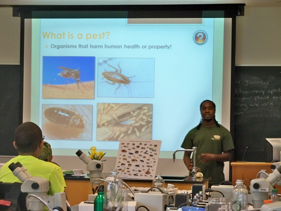 Bug Camp 2014