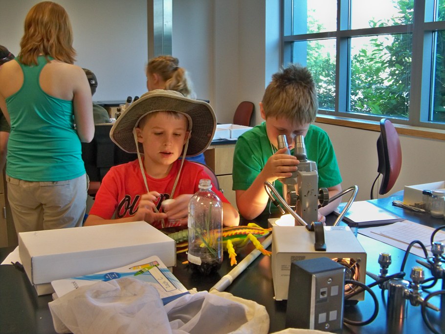 Bug Camp 2014