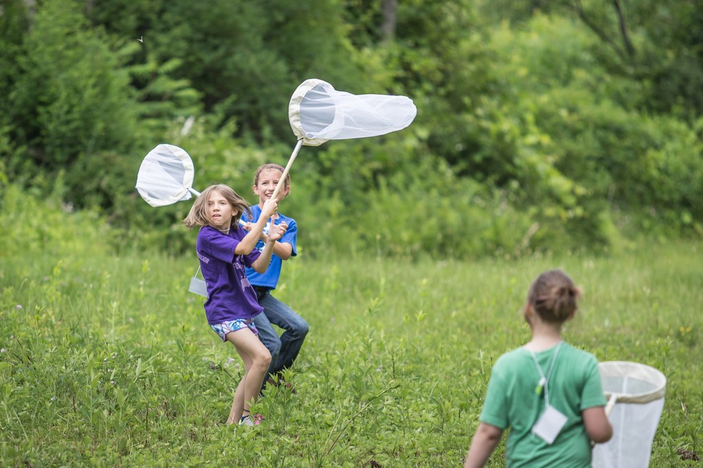 Bug Camp 2014