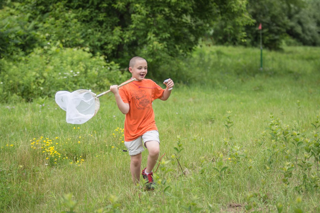 Bug Camp 2014