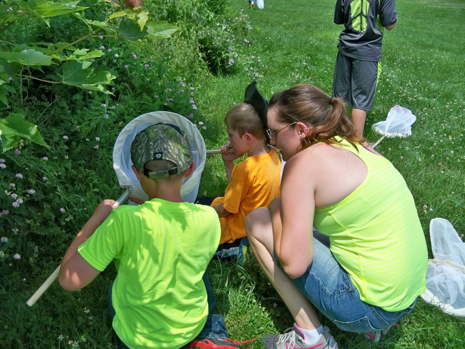 Bug Camp 2014