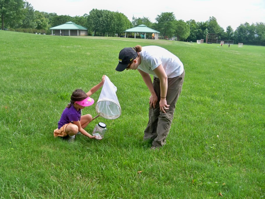 Bug Camp 2014