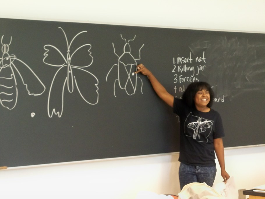 Bug Camp 2014