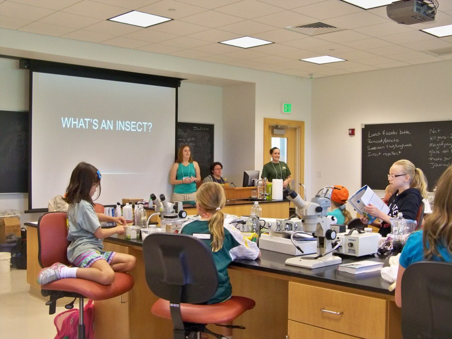 Bug Camp 2014
