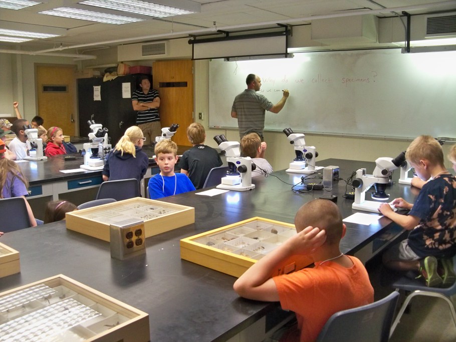 Bug Camp 2014